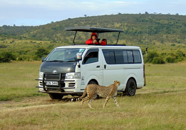 7 Days Amboseli, Lake Naivasha, Lake Nakuru and Masai Mara